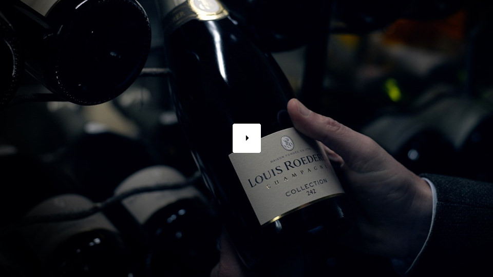Champagne Louis Roederer Collection 242 NV / 750 ml.
